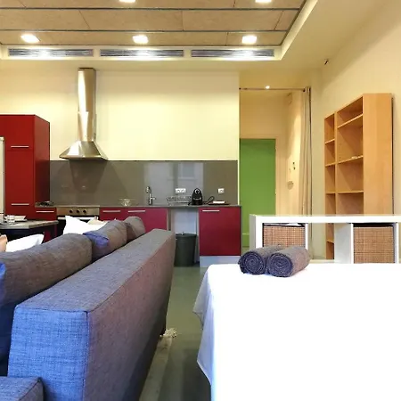 Daire Mazi Studio Mataró